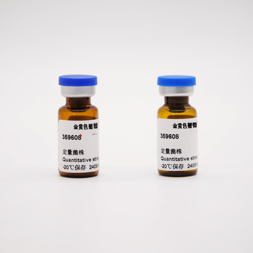 金黄色葡萄球菌定量菌株